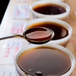 Menguak Rahasia Di Balik Setiap Cangkir Panduan Lengkap Teknik Cupping Kopi Untuk Mengenali Karakter Rasa